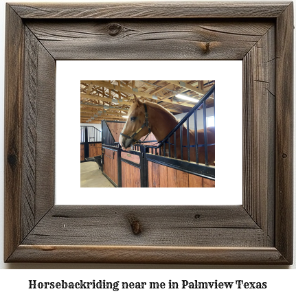 horseback riding near me in Palmview, Texas